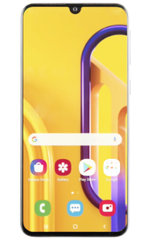 Samsung Galaxy M30s hoesjes