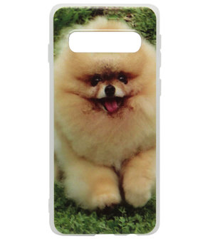 ADEL Siliconen Back Cover Softcase Hoesje voor Samsung Galaxy S10 Plus - Dwergkees Pomeriaan Hond