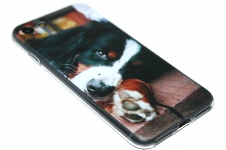 Berner Sennen honden hoesje iPhone SE (2022/ 2020)/ 8/ 7