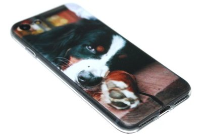 Berner Sennen honden hoesje iPhone SE (2020)/ 8/ 7